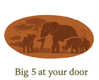 Big 5 · 2km