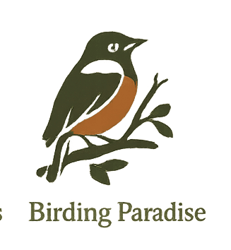 Bird watching icon