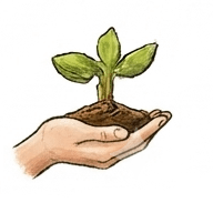 Volunteer