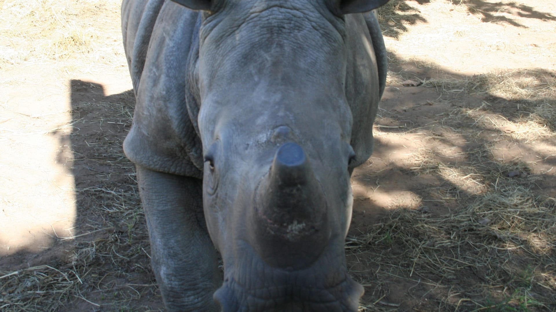 Contact Ethlathini Rest Camp in Hluhluwe, KwaZulu-Natal