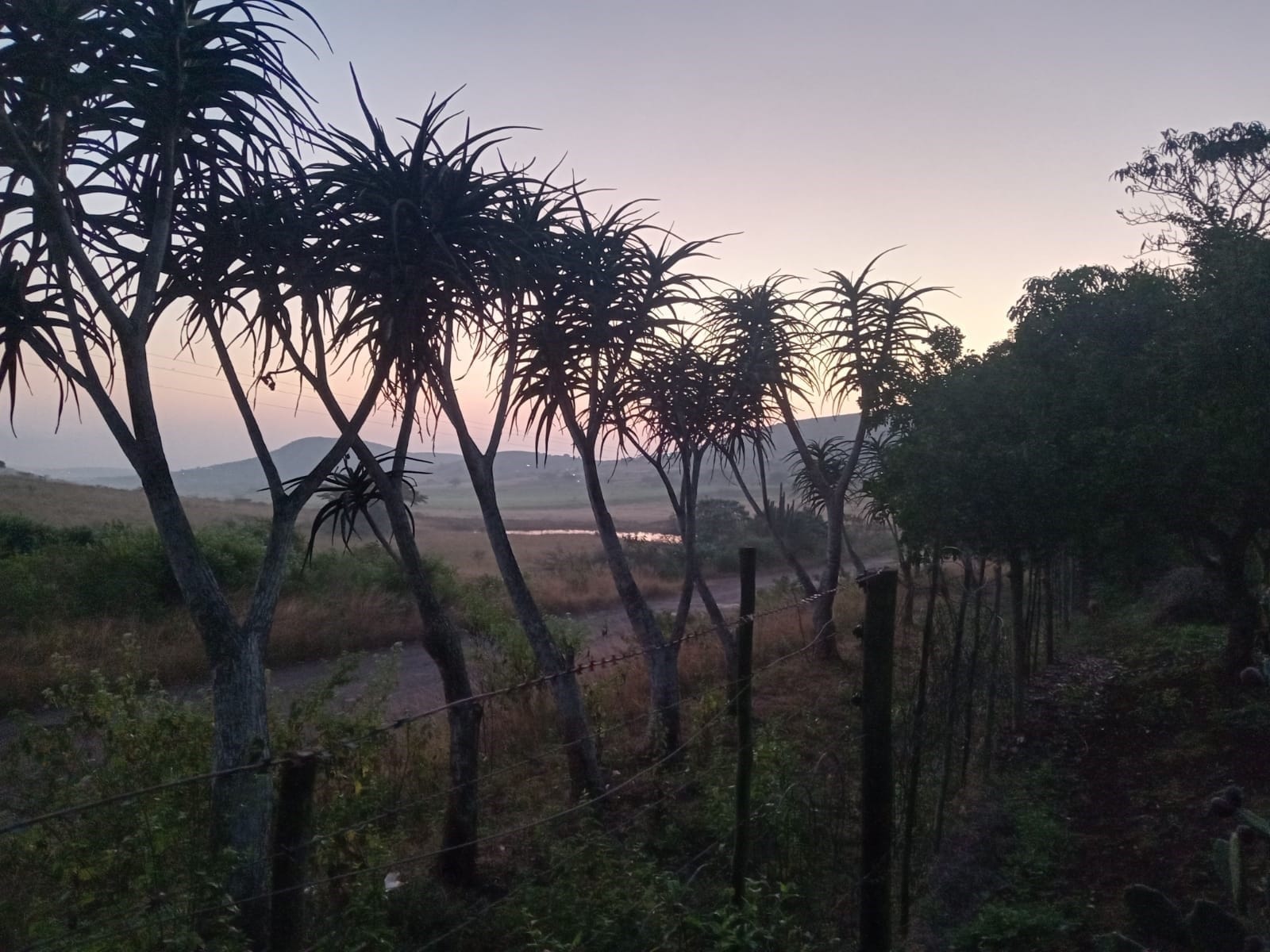 Sunrise on the main road approaching Ethlathini Rest Camp and Hluhluwe-iMfolozi Memorial Gate